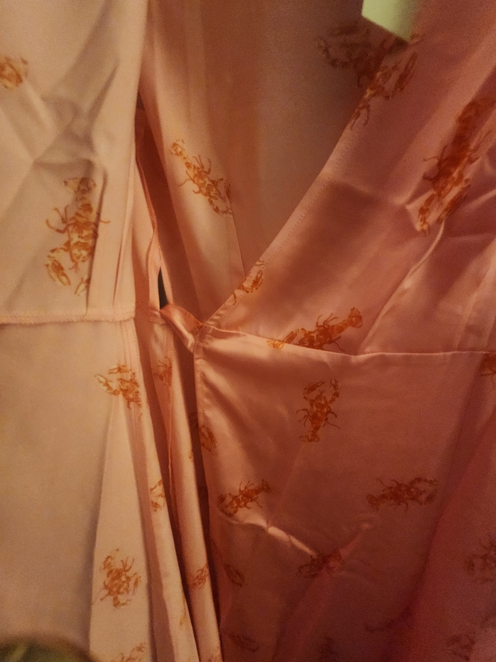 Never Fully Dressed Pink Dress with Red Lobster Print - Picture 4 of 13